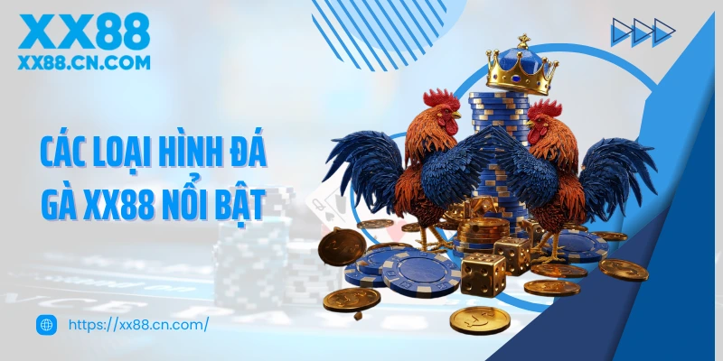 Các loại hình đá gà XX88 nổi bật