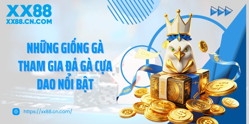 Những giống gà tham gia đá gà cựa dao nổi bật